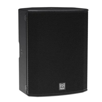 ⁧רמקול פסיבי 15" FlexPoint⁩ | ⁦Martin Audio FP15⁩