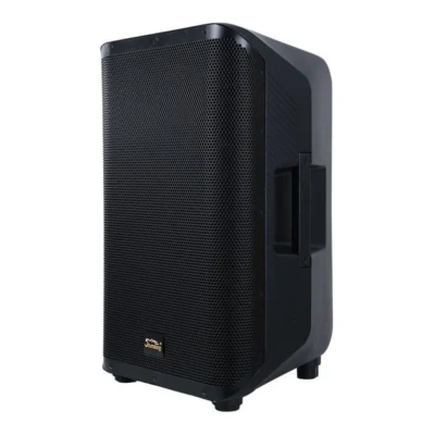 רמקול מוגבר Coaxial 15" | SoundKing Y15P