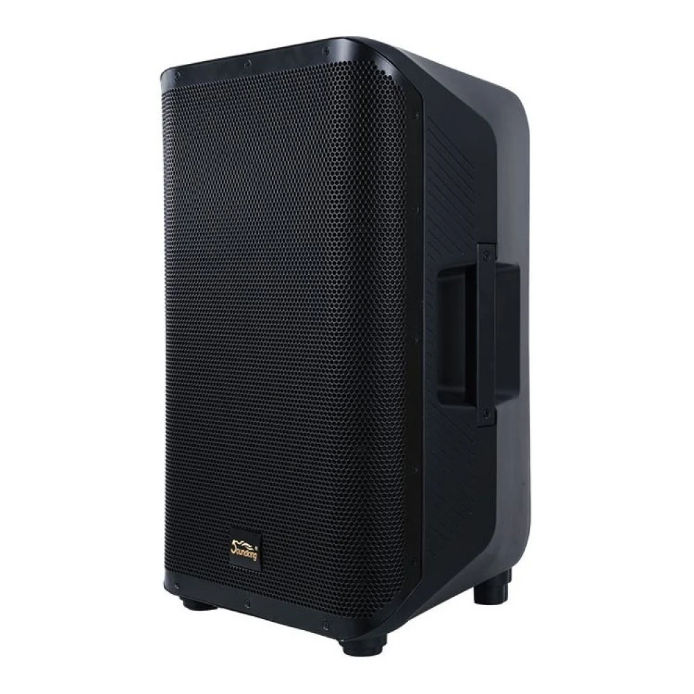 רמקול מוגבר Coaxial 10" | SoundKing Y10P