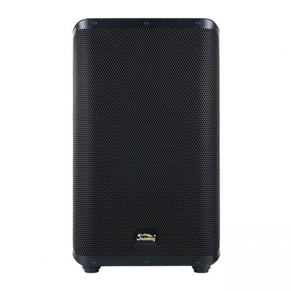 רמקול מוגבר Coaxial 10" | SoundKing Y10P – תמונה 7