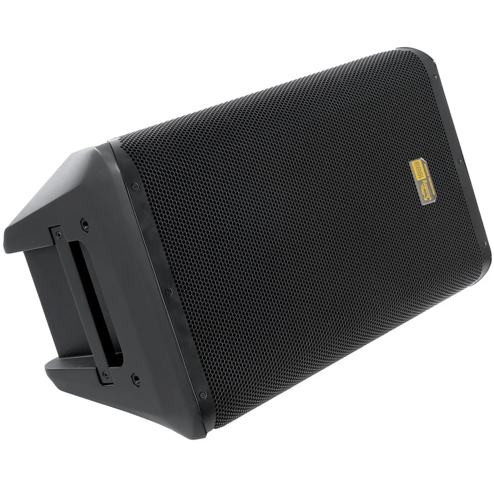 רמקול מוגבר Coaxial 10" | SoundKing Y10P – תמונה 4
